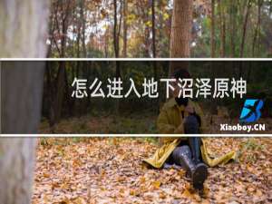 怎么进入地下沼泽原神