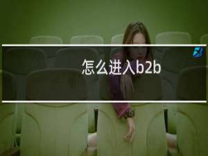 怎么进入b2b