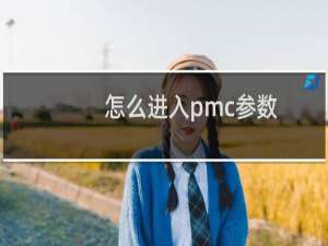 怎么进入pmc参数