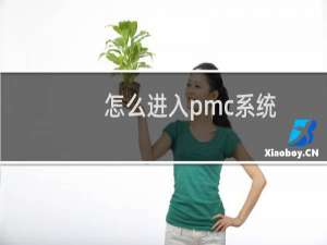 怎么进入pmc系统