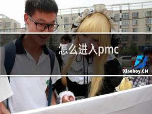 怎么进入pmc