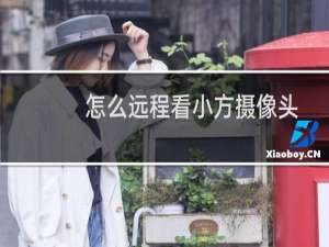 怎么远程看小方摄像头