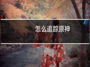 怎么追踪原神