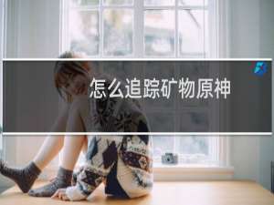 怎么追踪矿物原神