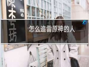怎么追雷原神的人