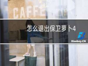 怎么退出保卫萝卜4