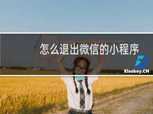 怎么退出微信的小程序并清空占用的内存