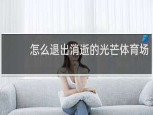 怎么退出消逝的光芒体育场