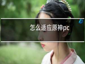 怎么适应原神pc