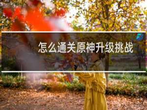 怎么通关原神升级挑战