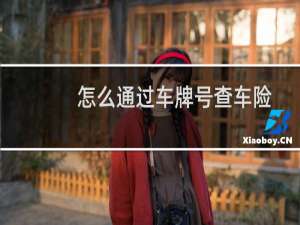 怎么通过车牌号查车险