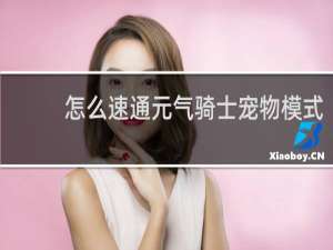 怎么速通元气骑士宠物模式