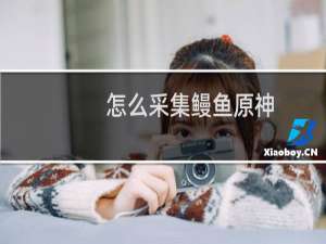怎么采集鳗鱼原神