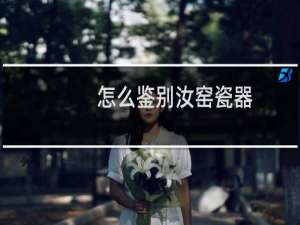 怎么鉴别汝窑瓷器