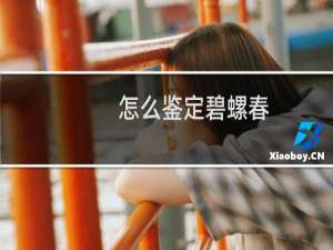 怎么鉴定碧螺春