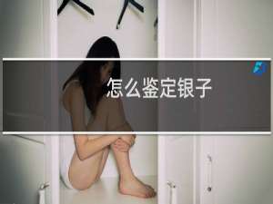怎么鉴定银子