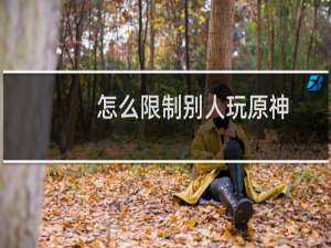 怎么限制别人玩原神