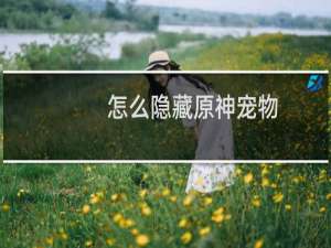 怎么隐藏原神宠物