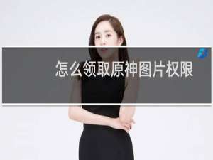 怎么领取原神图片权限