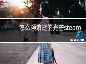 怎么领消逝的光芒steam
