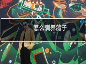 怎么驯养鸽子