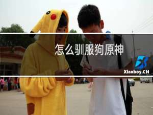 怎么驯服狗原神