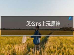 怎么ns上玩原神