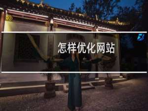 怎样优化网站