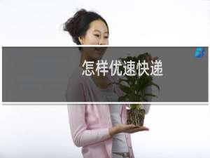 怎样优速快递