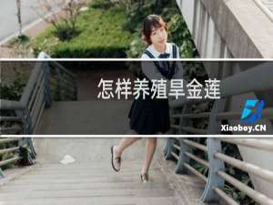 怎样养殖旱金莲（养殖旱金莲的方法）