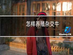 怎样养殖杂交牛