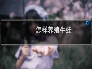 怎样养殖牛蛙