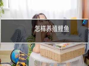 怎样养殖鲤鱼