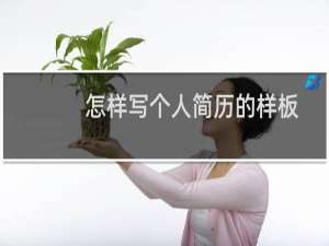 怎样写个人简历的样板