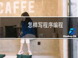 怎样写程序编程