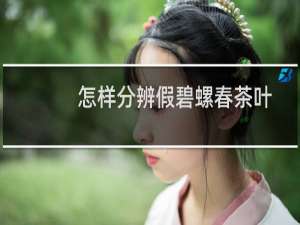 怎样分辨假碧螺春茶叶