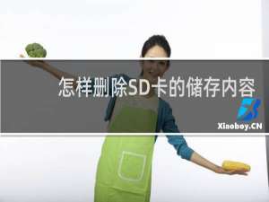 怎样删除SD卡的储存内容