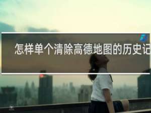 怎样单个清除高德地图的历史记录