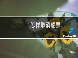 怎样取消船票
