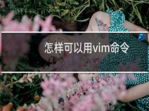 怎样可以用vim命令