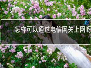 怎样可以通过电信网关上网呀