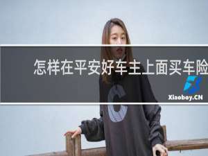 怎样在平安好车主上面买车险