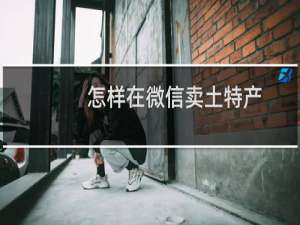 怎样在微信卖土特产