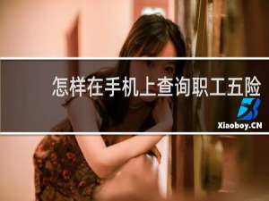 怎样在手机上查询职工五险