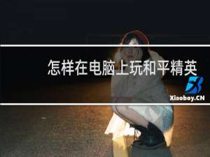 怎样在电脑上玩和平精英手游(用电脑怎么玩手游和平精英)