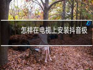 怎样在电视上安装抖音极速版