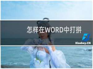 怎样在WORD中打拼音？