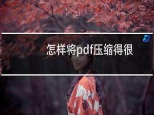 怎样将pdf压缩得很小（pdf能不能压缩小一点）