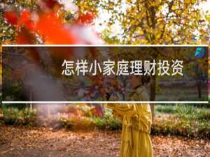 怎样小家庭理财投资