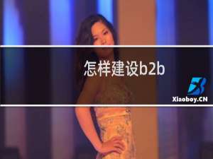 怎样建设b2b